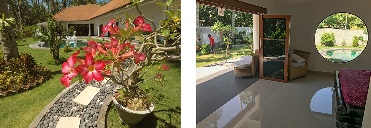 All rooms look out over the garden